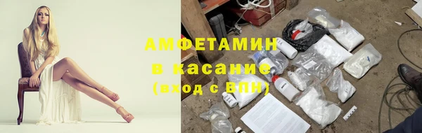 кокс Касимов