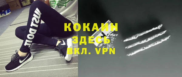 кокс Касимов
