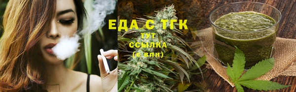 кокс Касимов