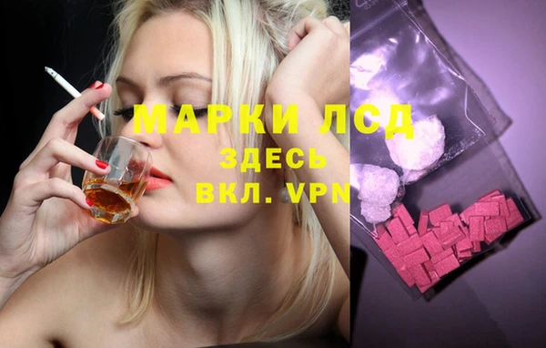 кокс Касимов