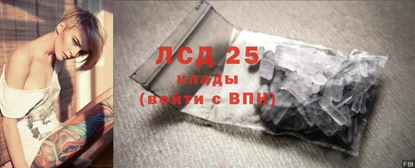 кокс Касимов