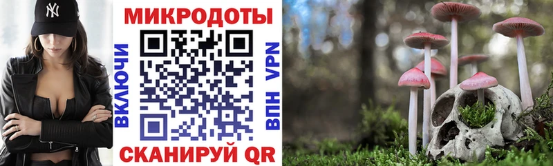 Галлюциногенные грибы прущие грибы  Купить где  Сосногорск 